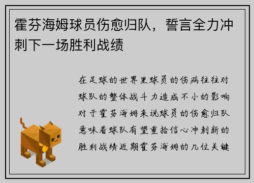 霍芬海姆球员伤愈归队，誓言全力冲刺下一场胜利战绩