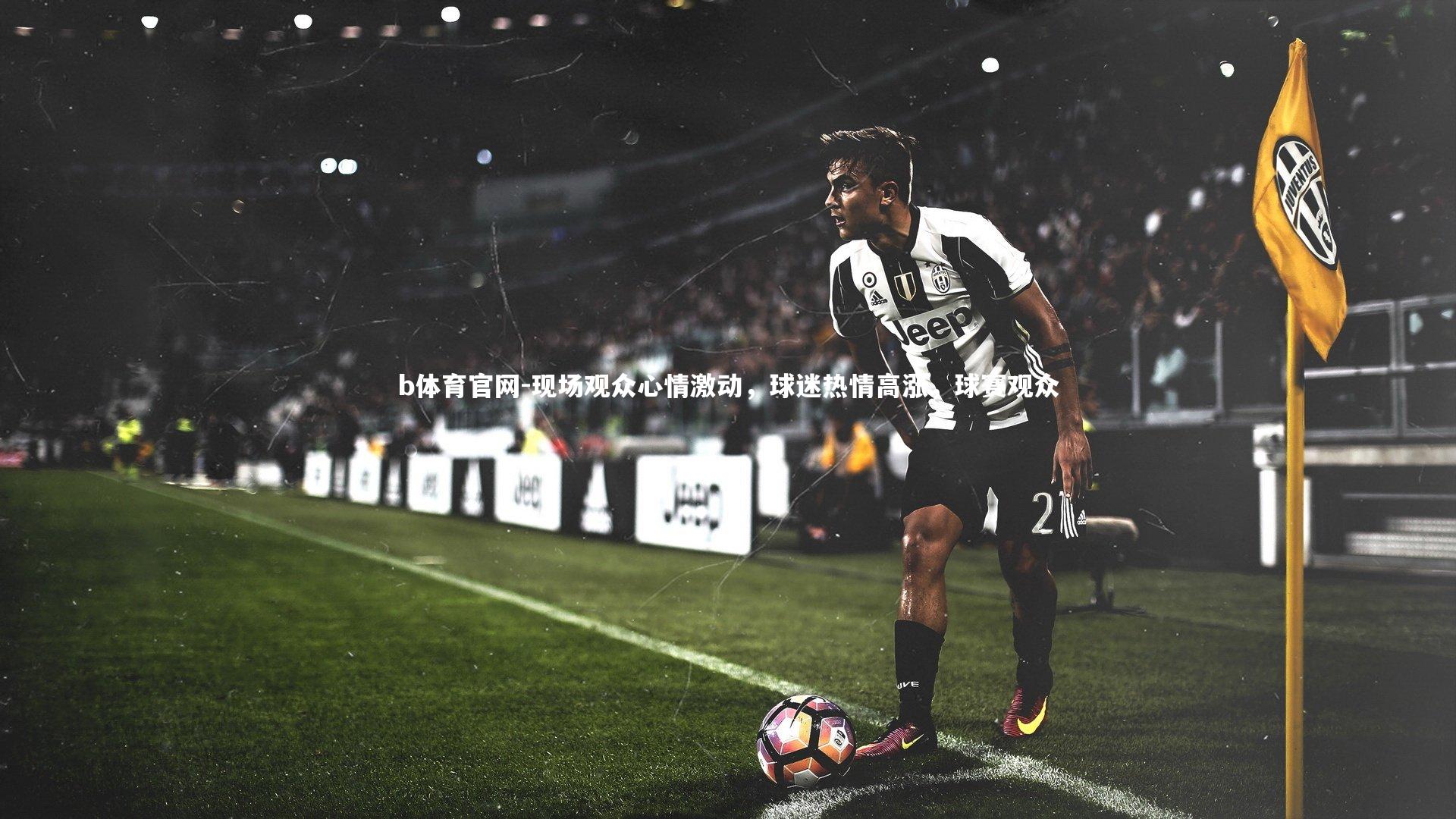 现场观众心情激动，球迷热情高涨，球赛观众