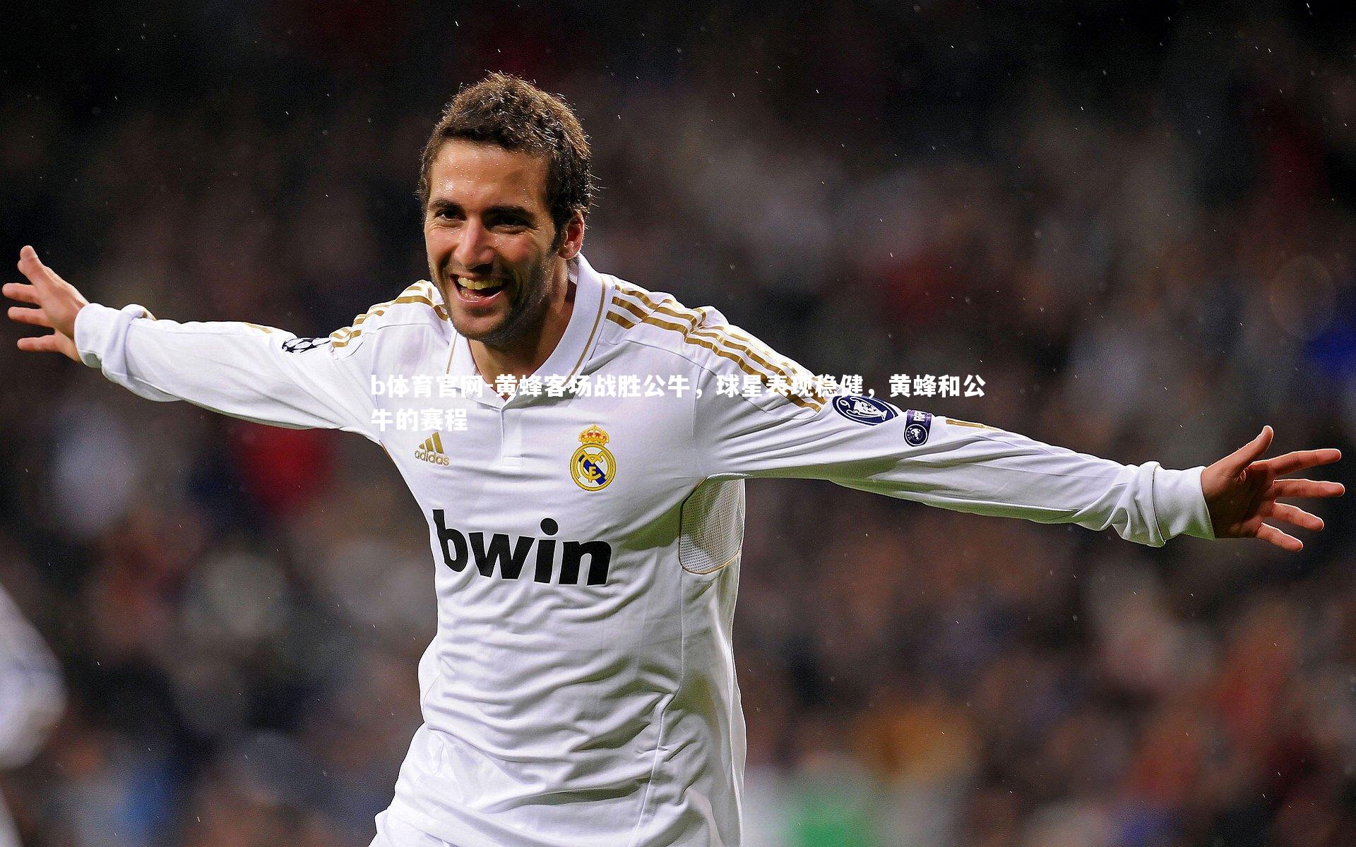 黄蜂客场战胜公牛，球星表现稳健，黄蜂和公牛的赛程